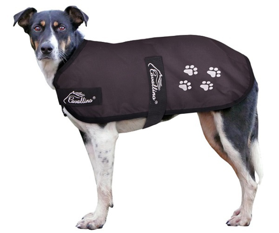 Cavallino Paw Print Dog Coat - 100gm Fill image 0